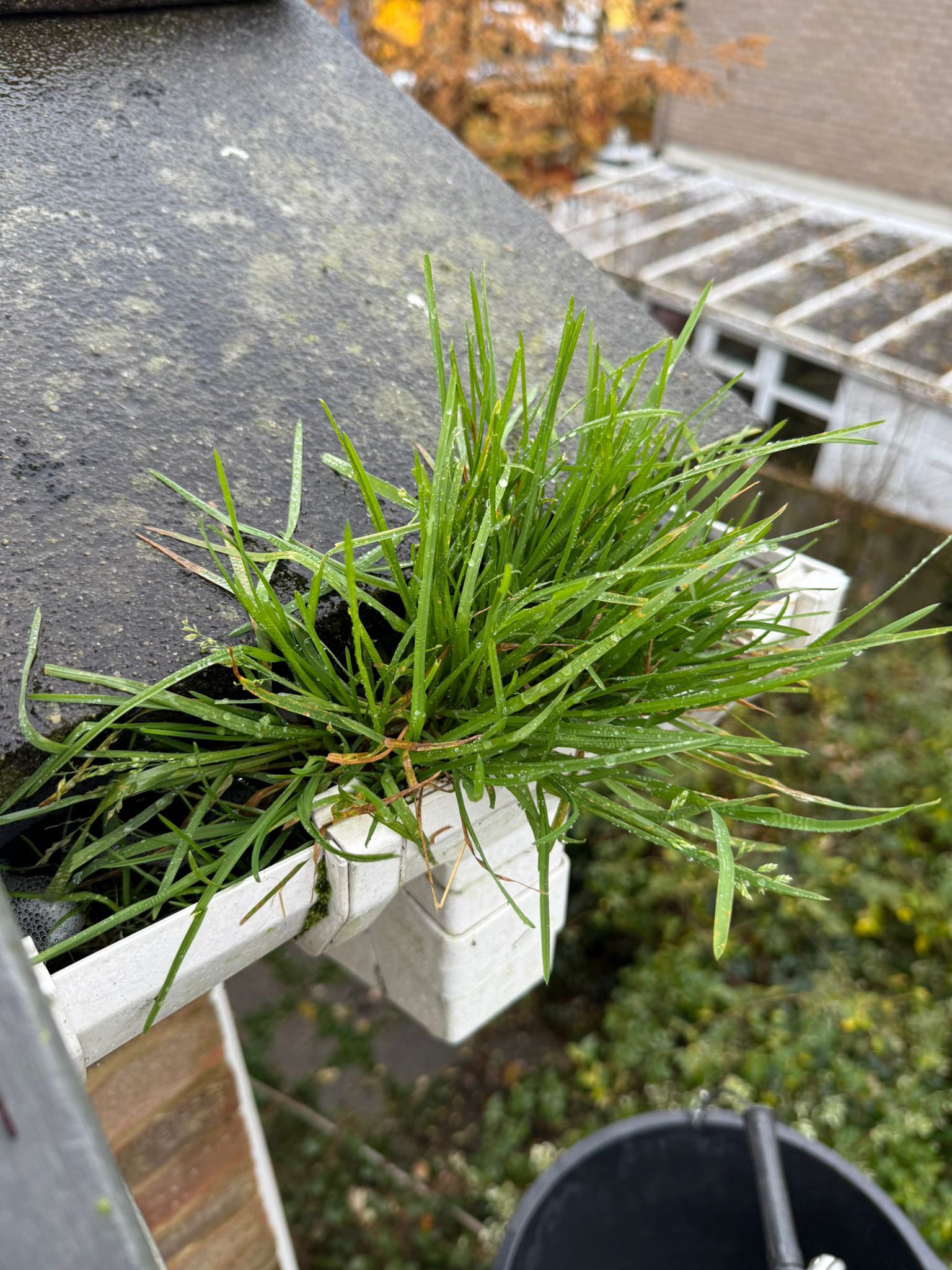 Blocked gutter downpipe  - Redbourn Gutter Clearance is the solution!